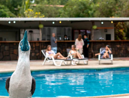 Hotel Tortuga Bay Piscina